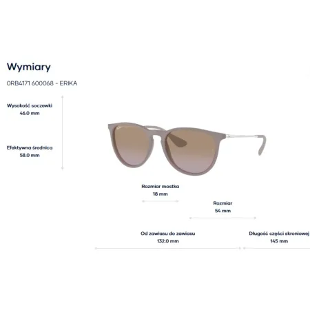 Ray-Ban 0RB4171  60028G -6000/68 Erika